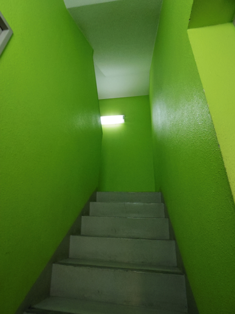 おっ！階段はグリーンになっていました