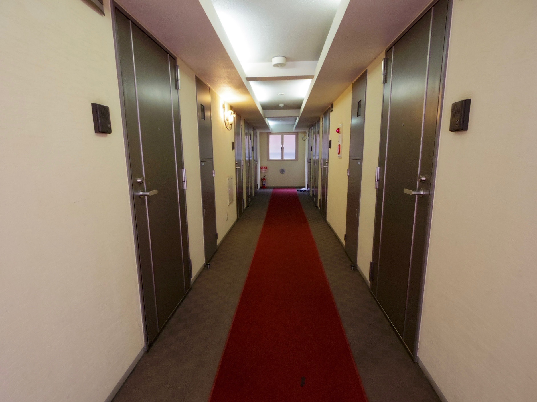 ホテルのような絨毯が敷かれた内廊下。