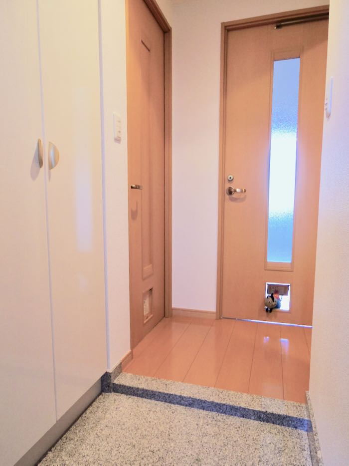 玄関 正面リビングと左トイレのドアに猫ドア付き