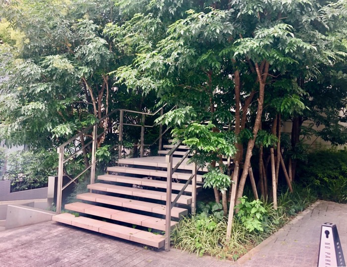 植栽に囲まれた階段