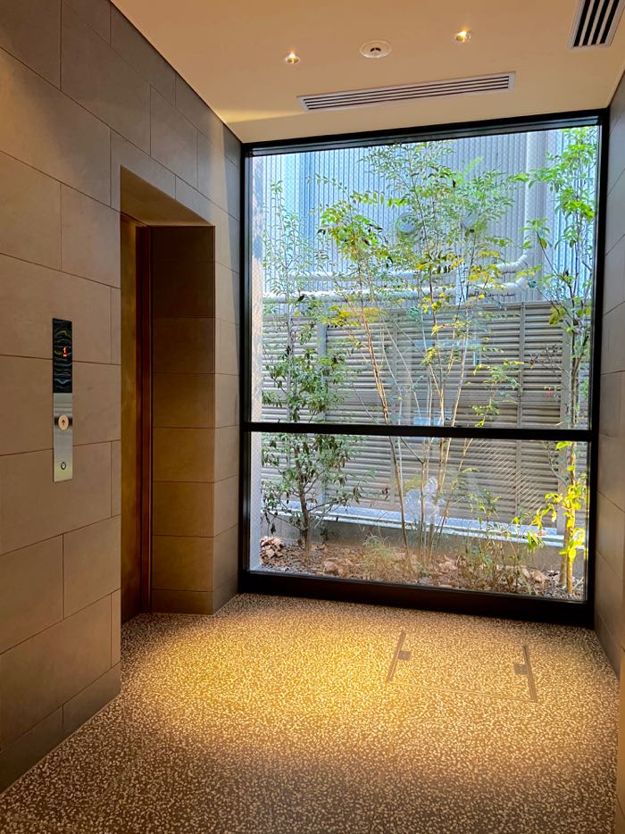 植栽が見える1Fエレベーターホール