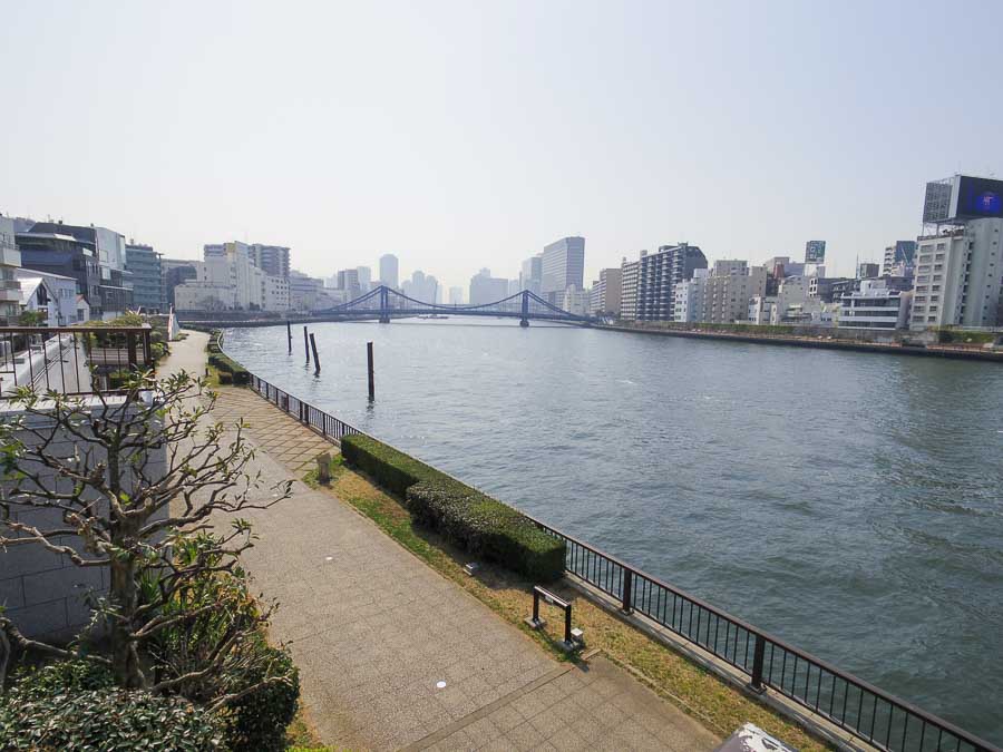 歩いて1分で隅田川テラスを散歩できます