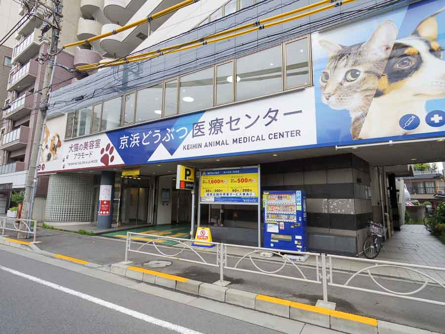 立会川駅のそばにも動物病院があります